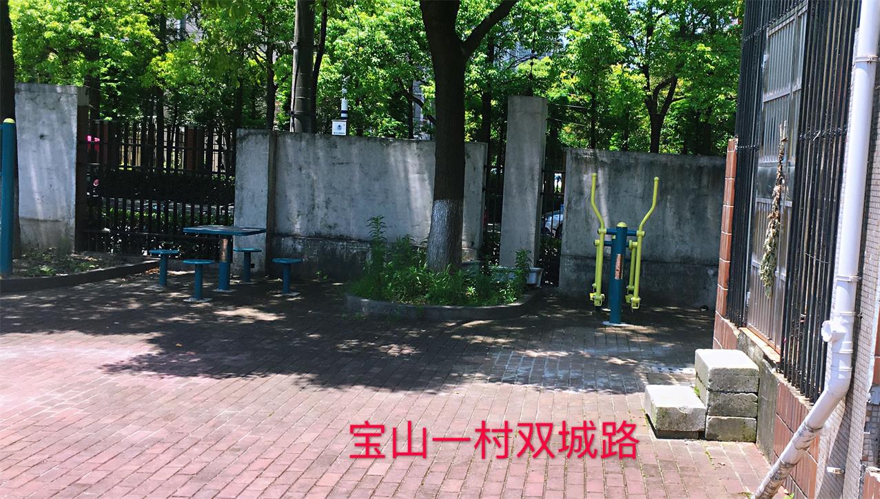 寶山一村健身點    3