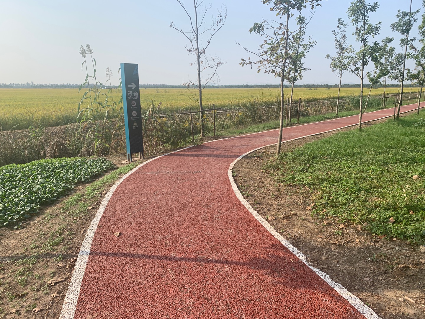 躍進(jìn)健身步道