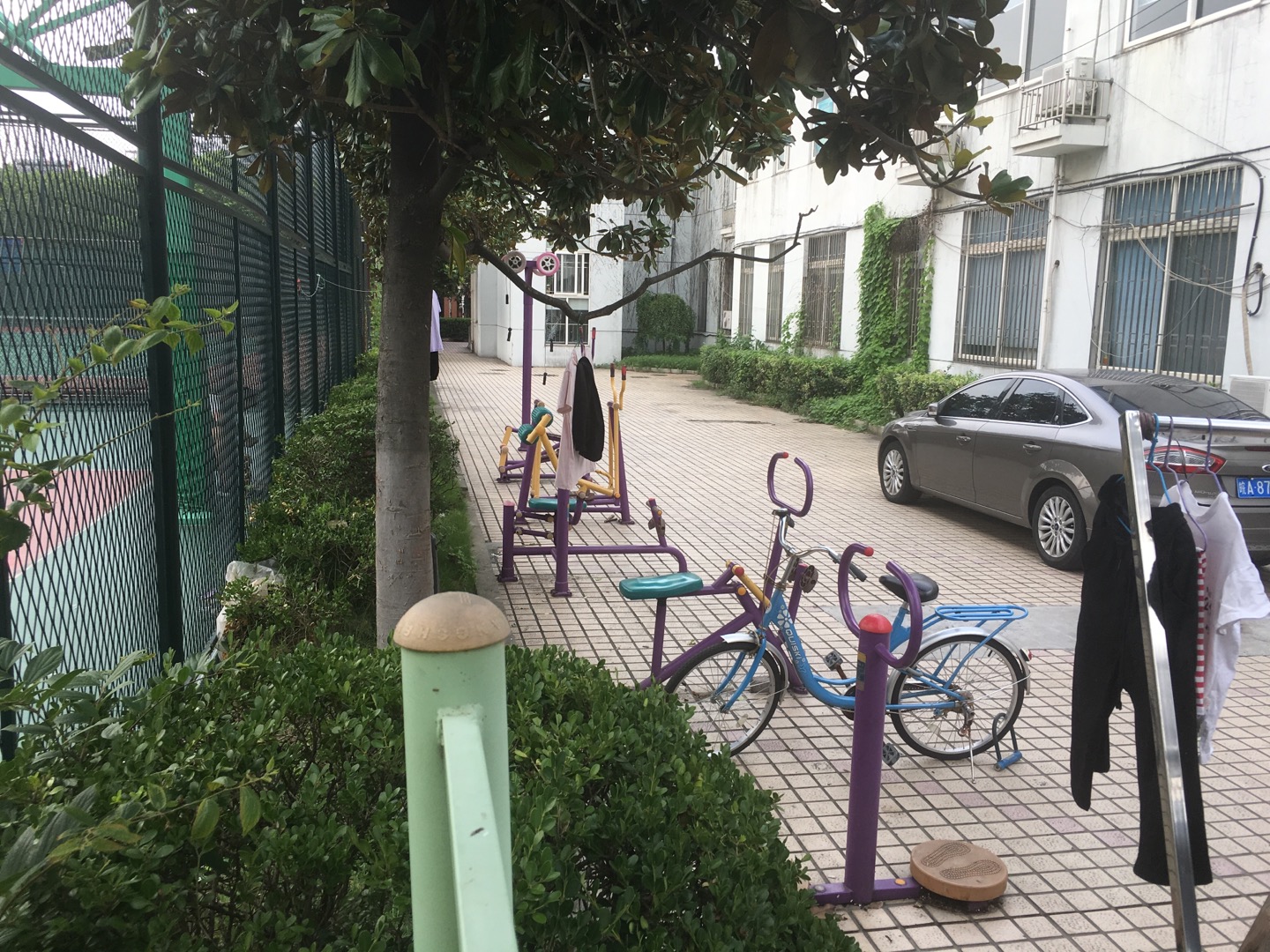 錦秋花苑運動場