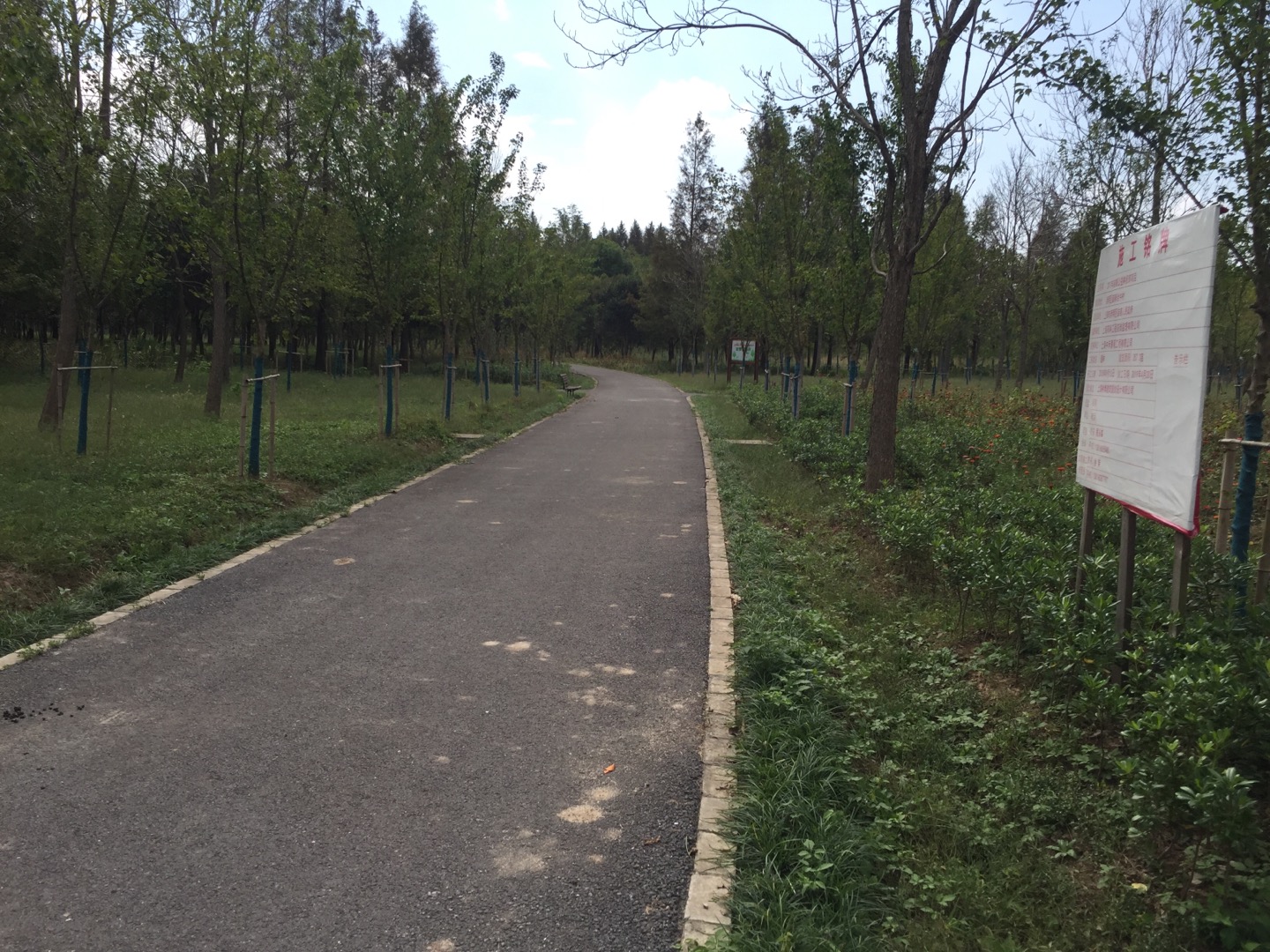 合中村健身步道1