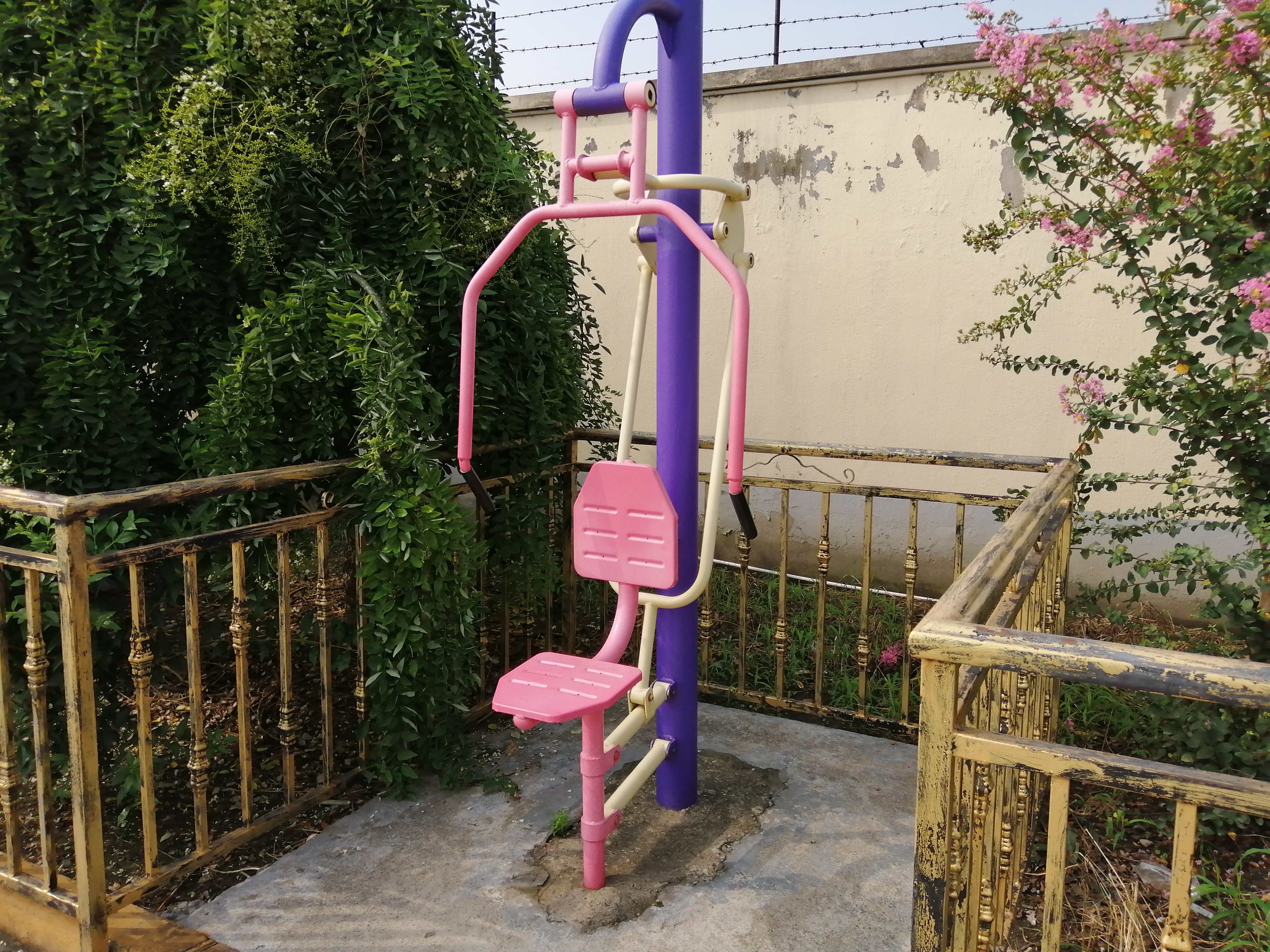 雙立柱推力訓練器