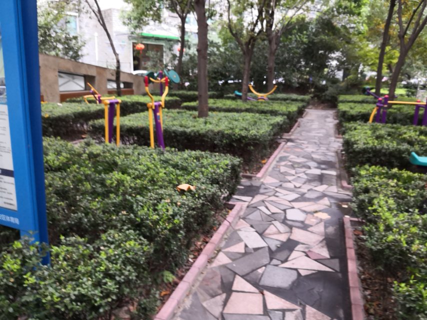 靜安區(qū)芷江西路街道三興居委健身點(diǎn)（中興路1258弄）