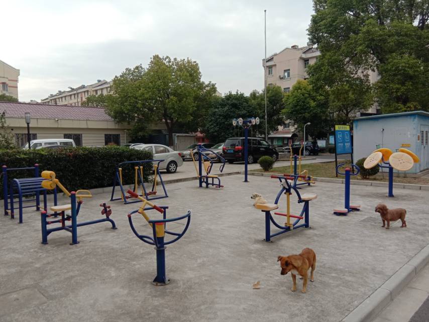 晨陽居委江明路36弄10號健身路徑