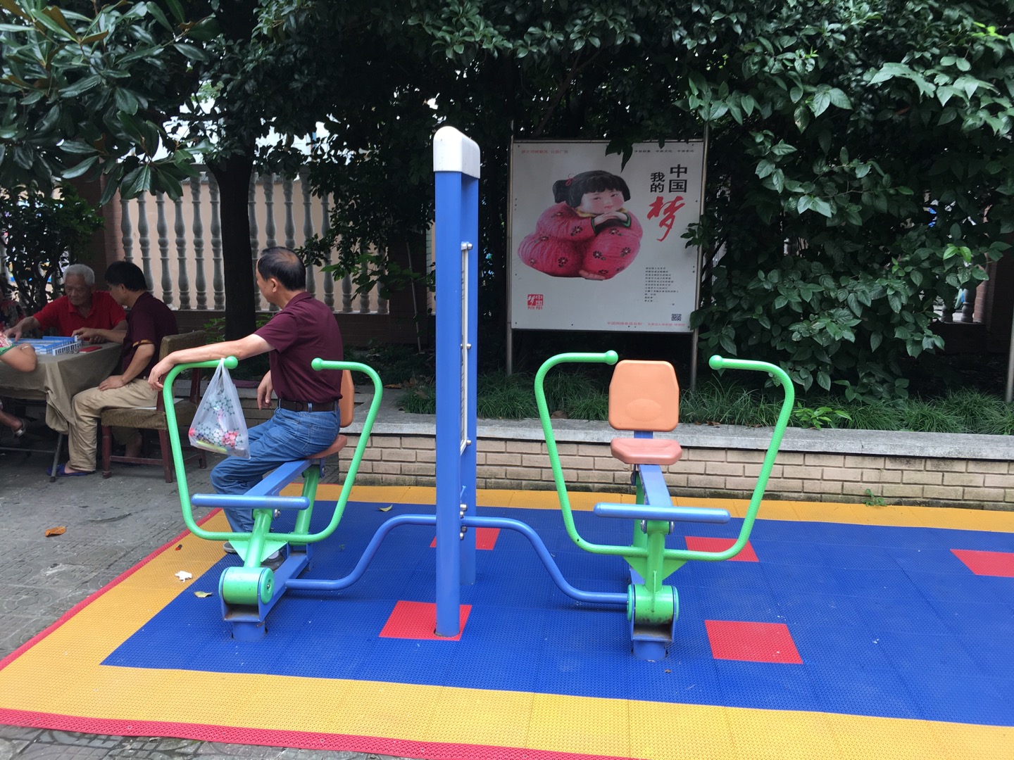 雙立柱平推平拉訓練器