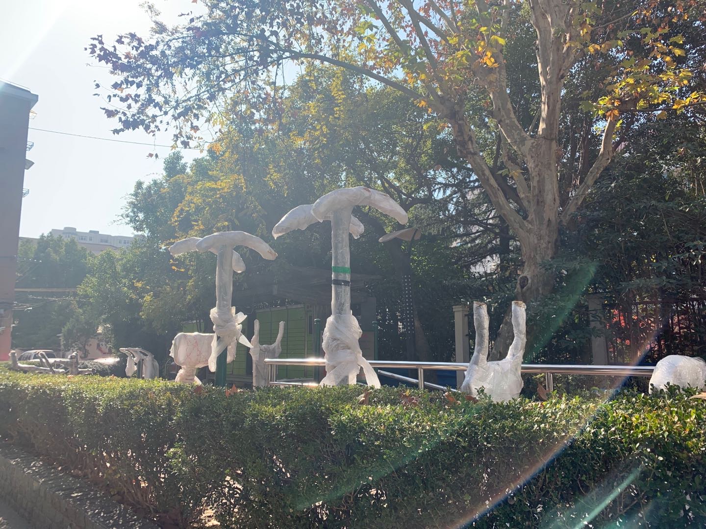 程橋一村市民益智健身點