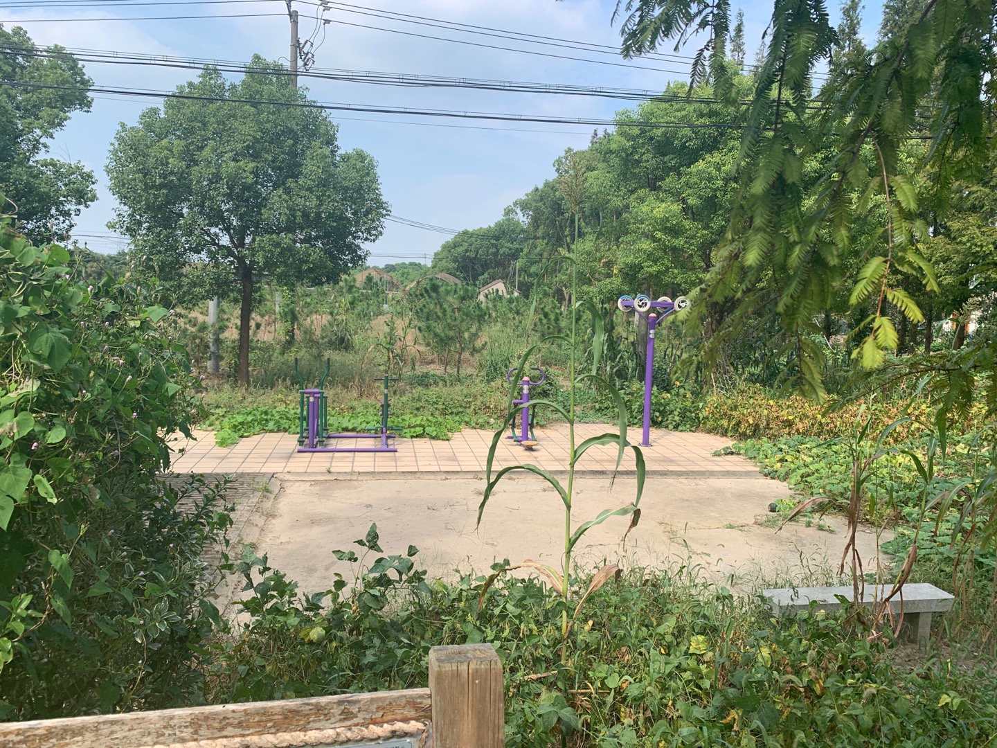 新源村15隊(duì)