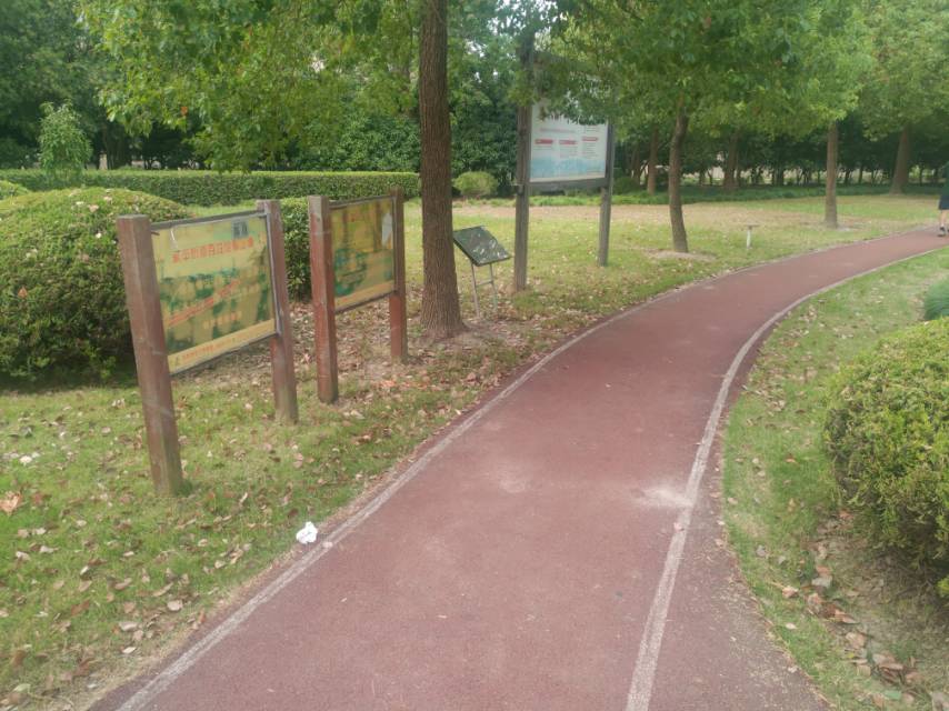 永豐街道倉(cāng)匯路百姓健身步道