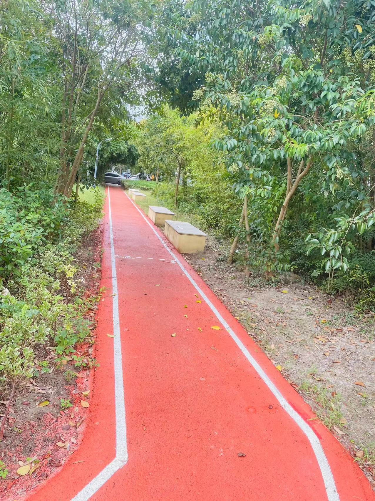 顧村鎮(zhèn)古北菊翔苑百姓健身步道