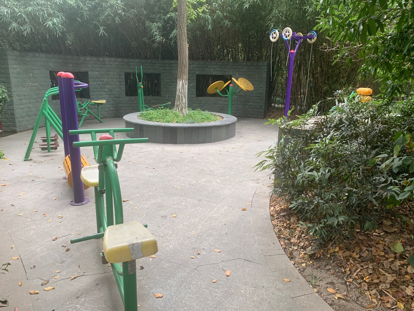 高行鎮(zhèn)華庭居委會健身苑點2