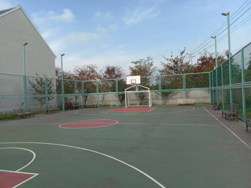崇明區(qū)中興鎮(zhèn)北興村籃球場