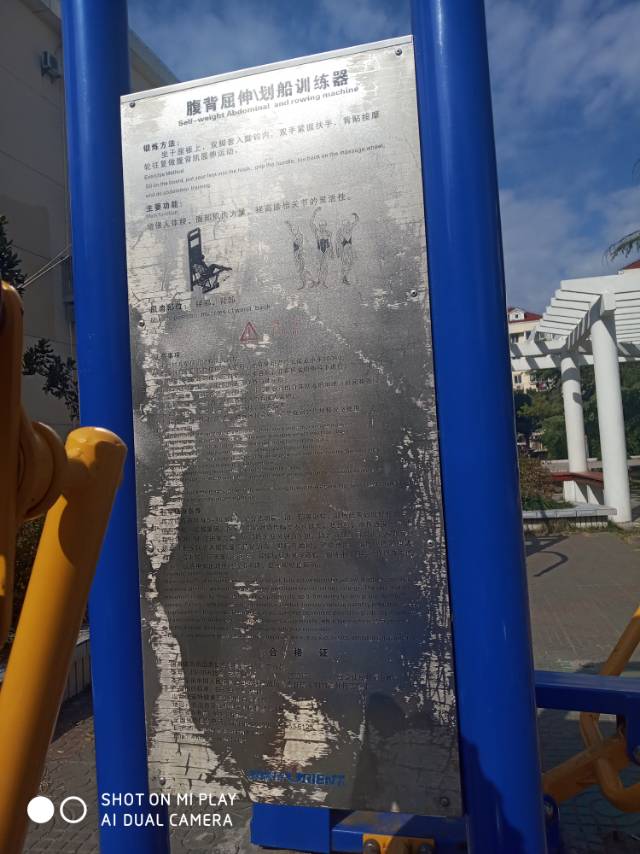 腹背屈伸/劃船訓(xùn)練器