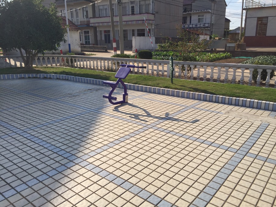 背肌訓(xùn)練器