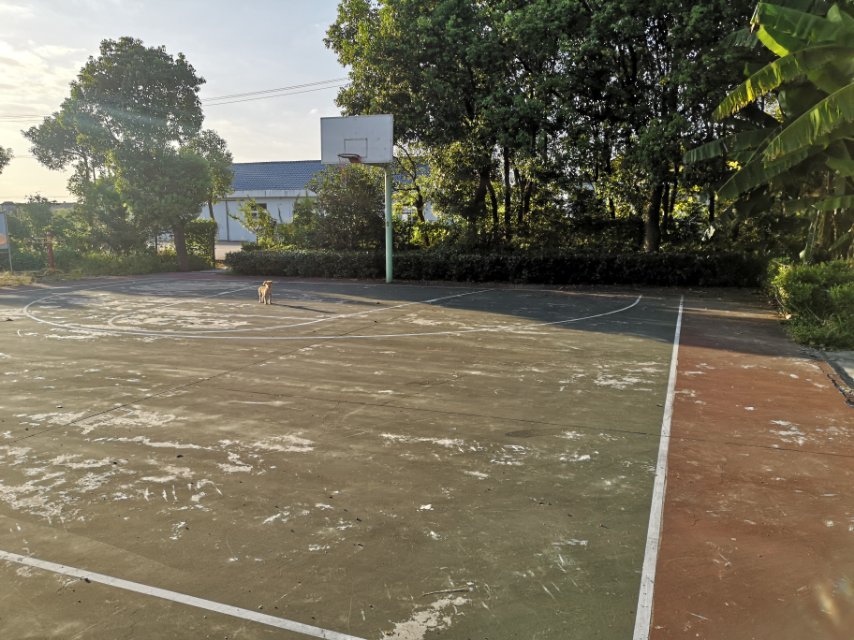建農(nóng)村籃球場(chǎng)