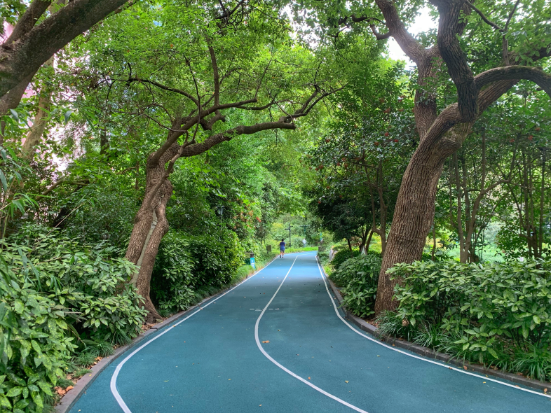 中山公園市民健身步道