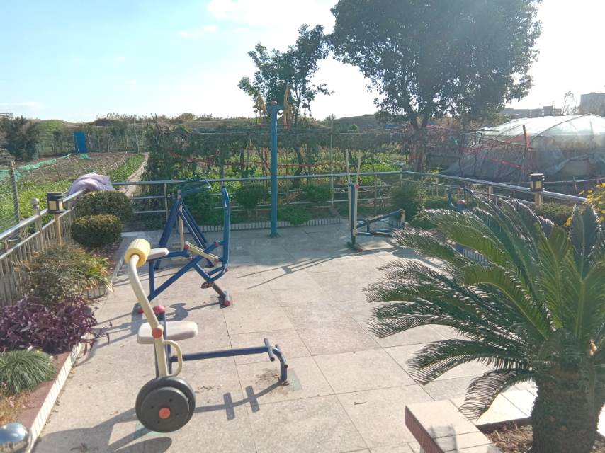 金星村1組1504號(hào)南健身路徑