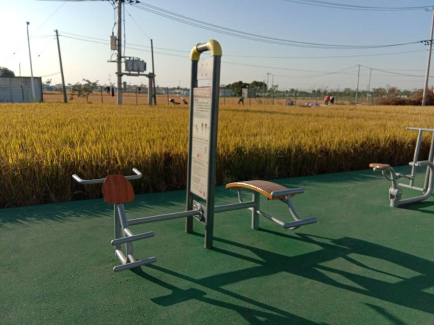 背肌訓(xùn)練器