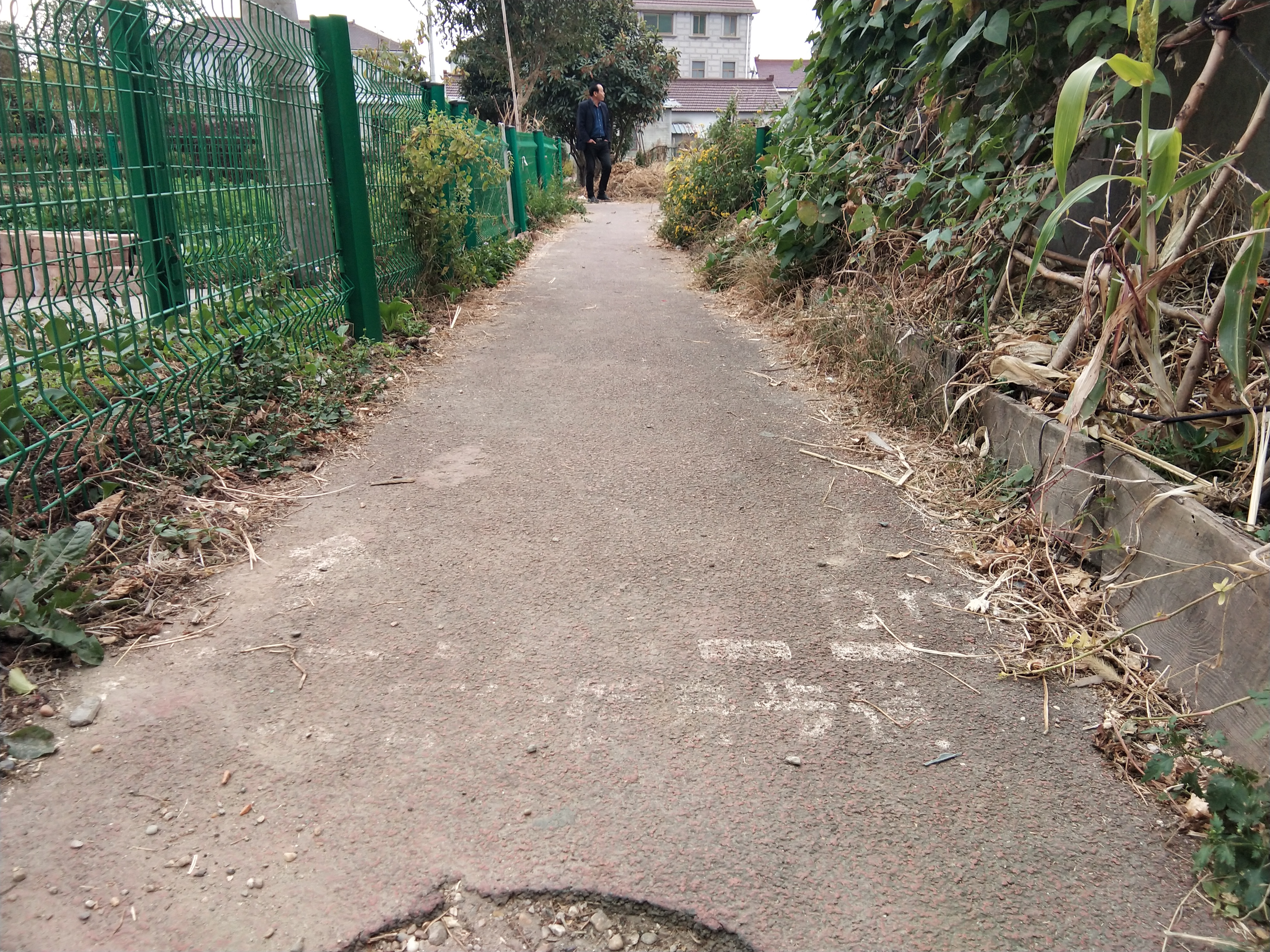 坦南村健身步道