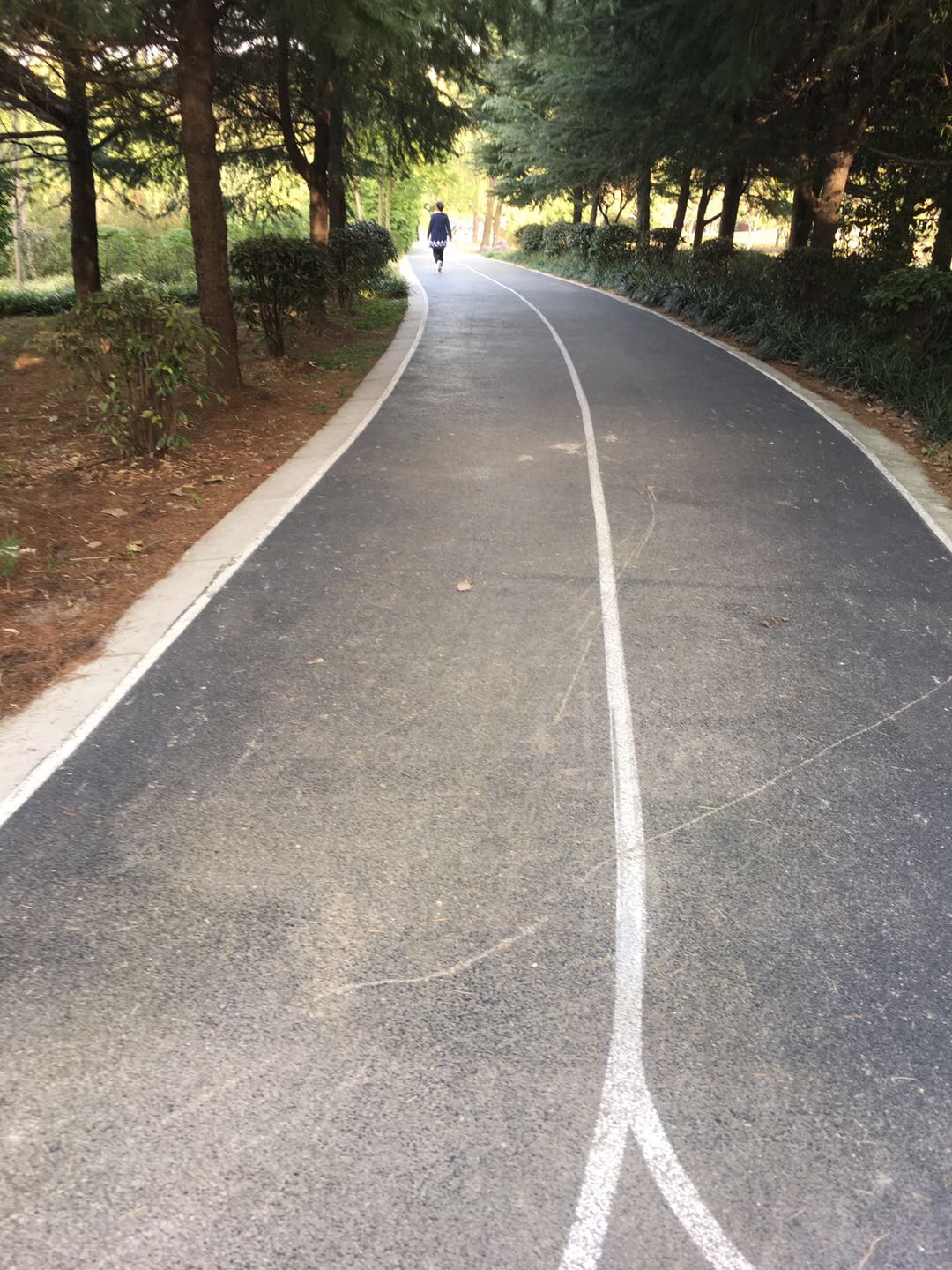 新楊南北廳綠地市民健身步道