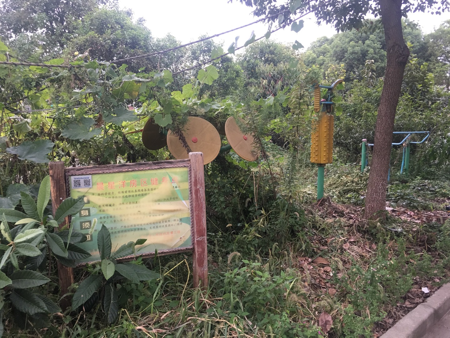 晨星洋房區(qū)健身點(diǎn)