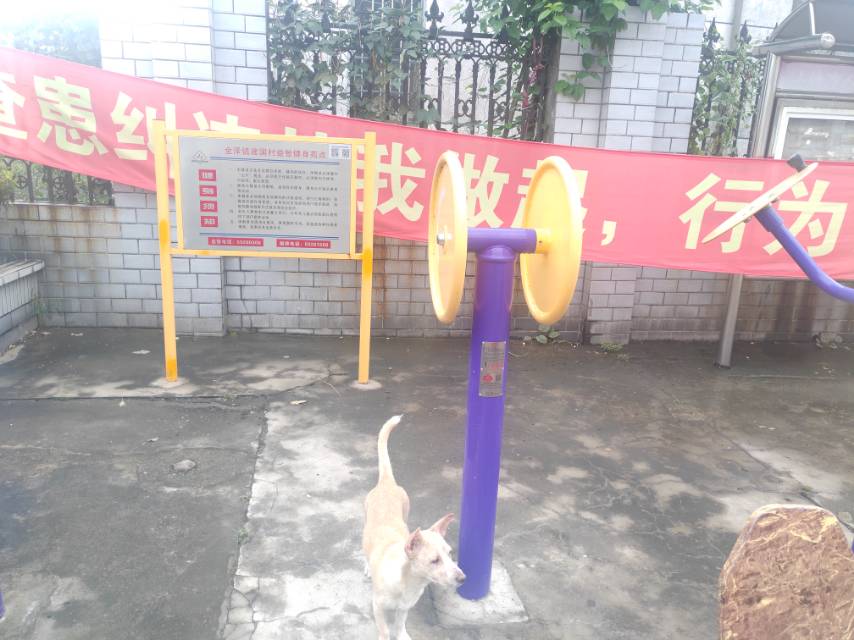 臂力訓(xùn)練器