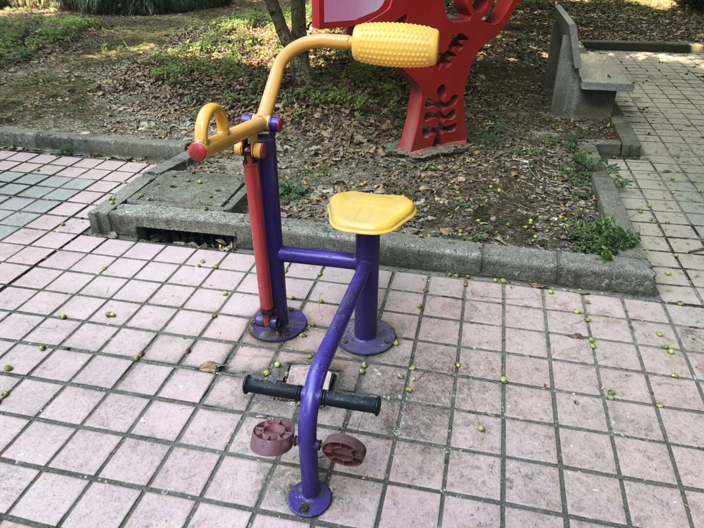 腹背訓(xùn)練器