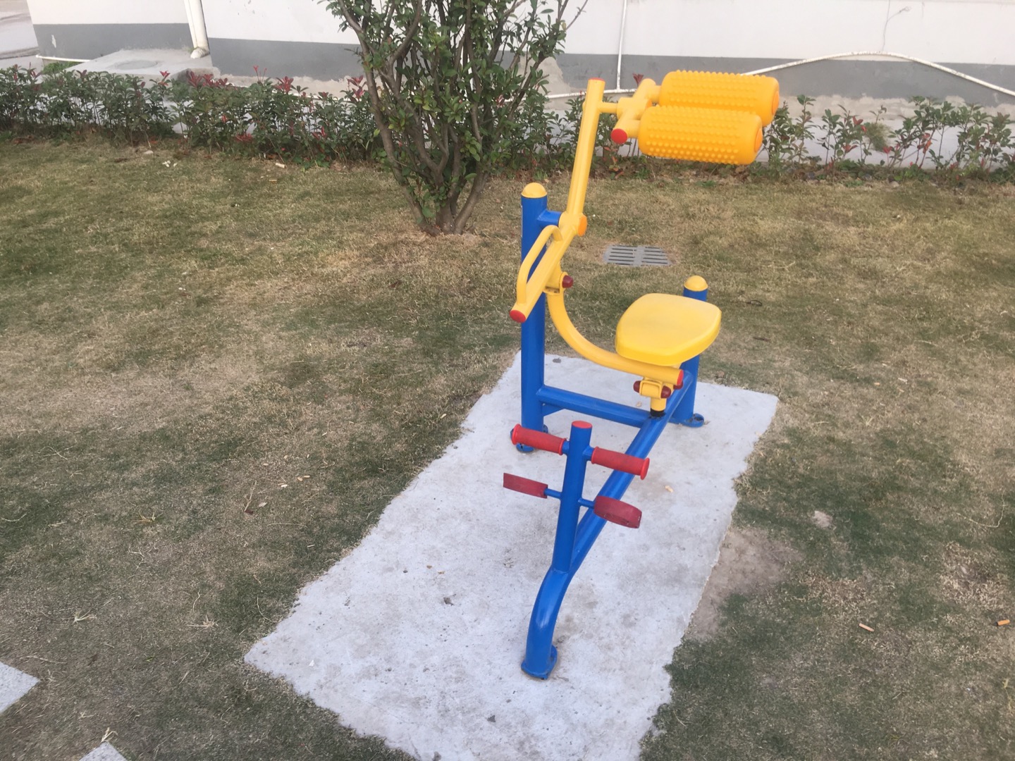 自重腹背鍛煉器