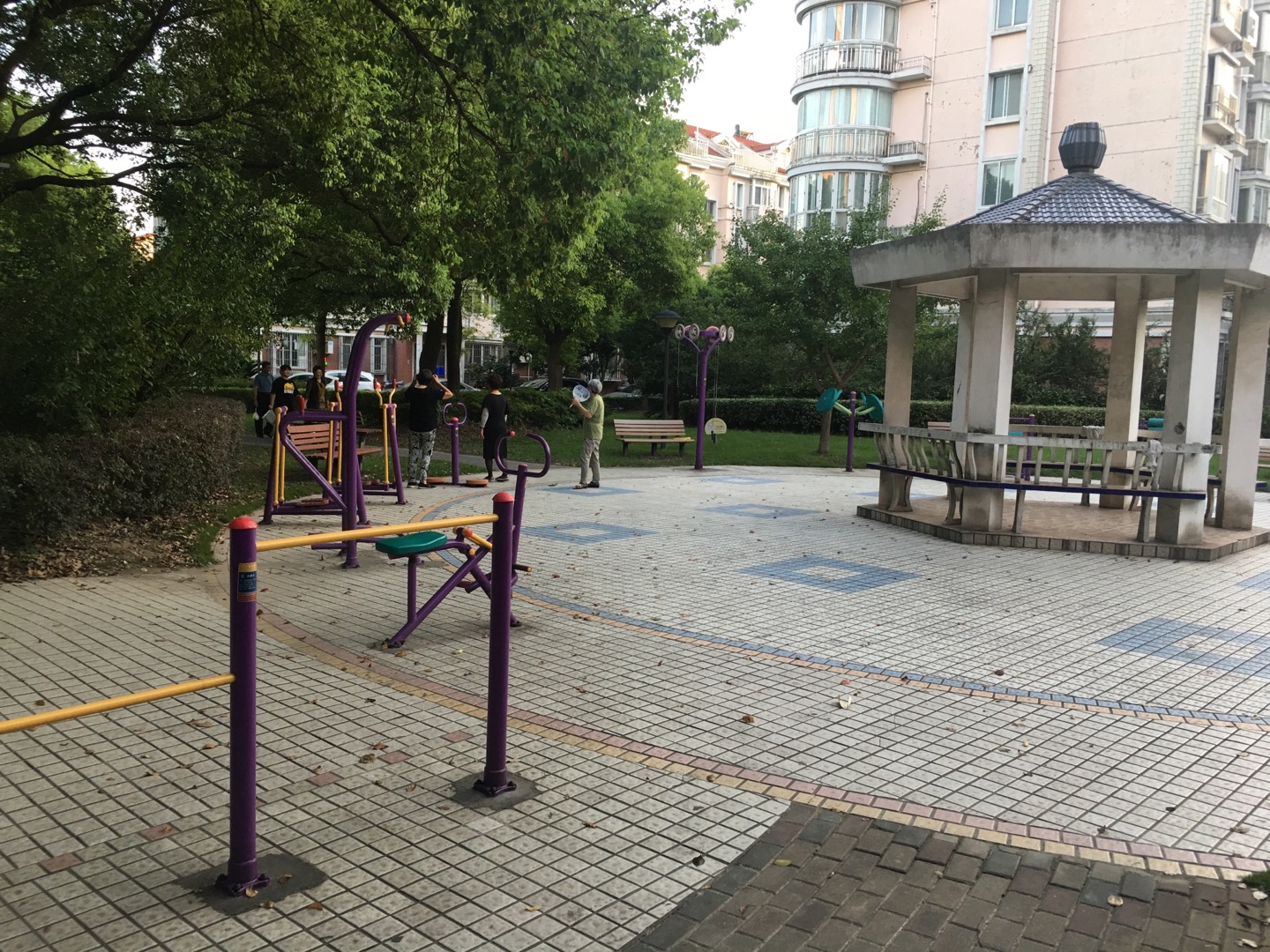 臨江公園居委健身點   1