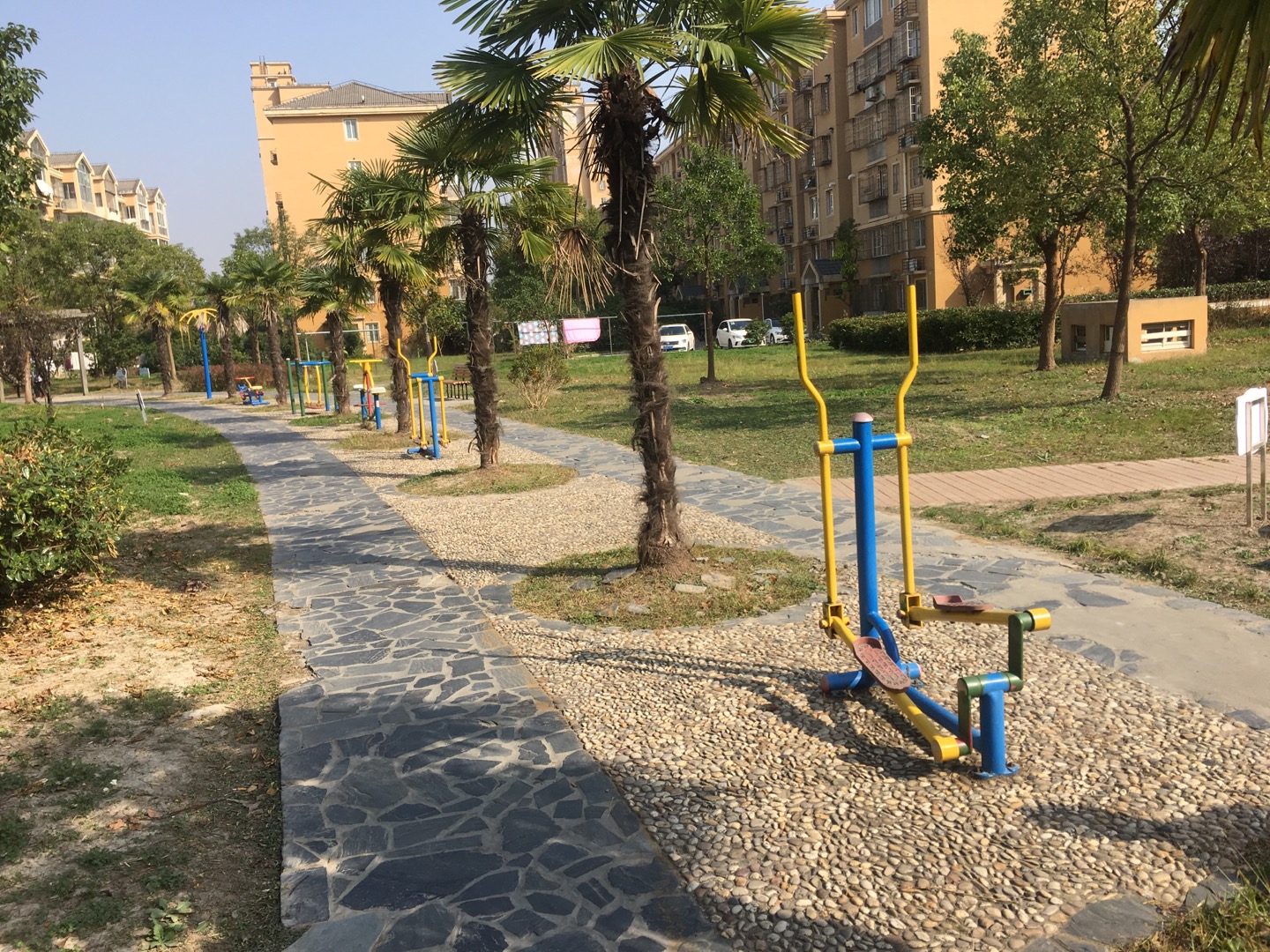 慶東居委健身點1