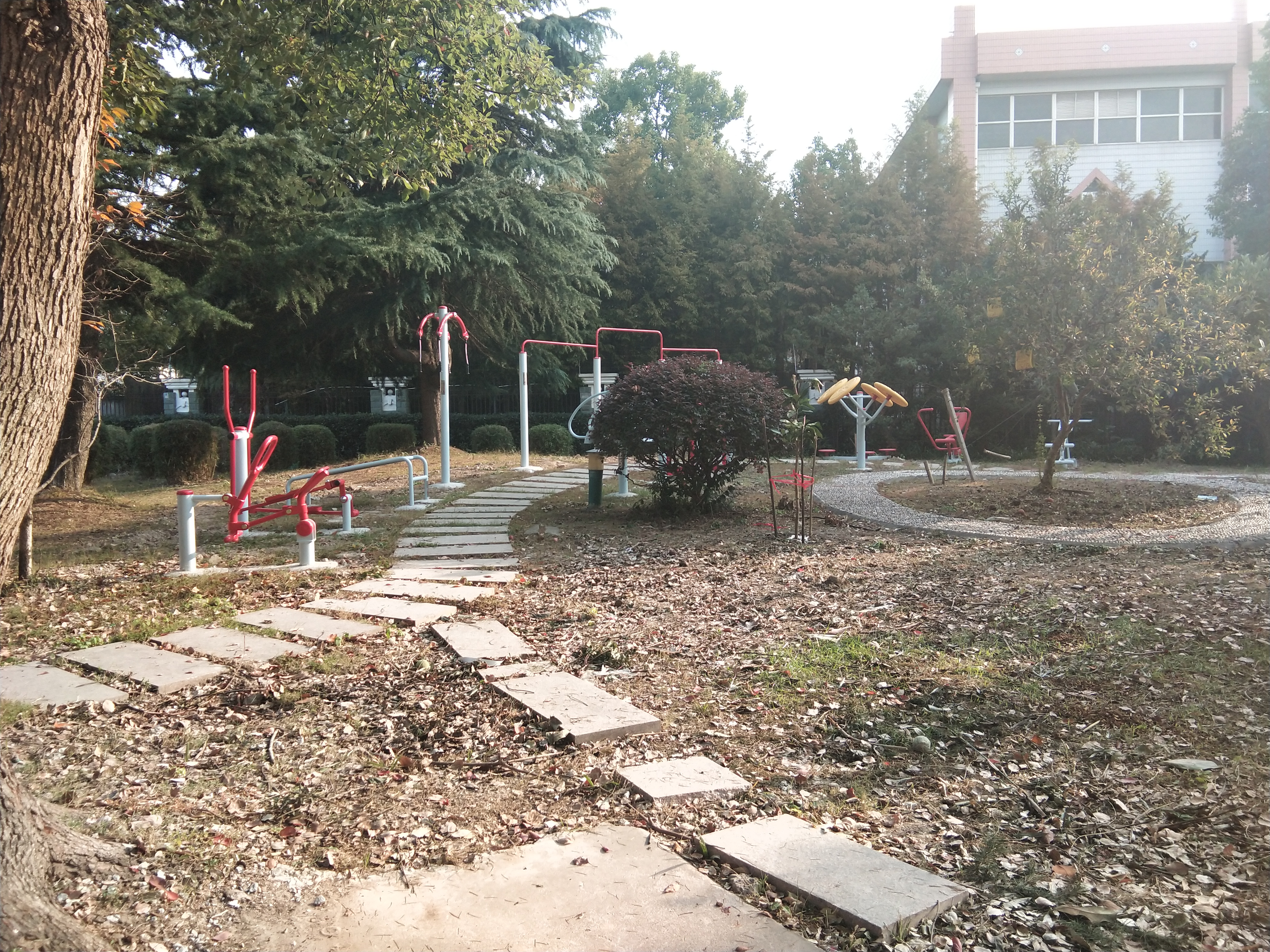 蓮溪一居健身點