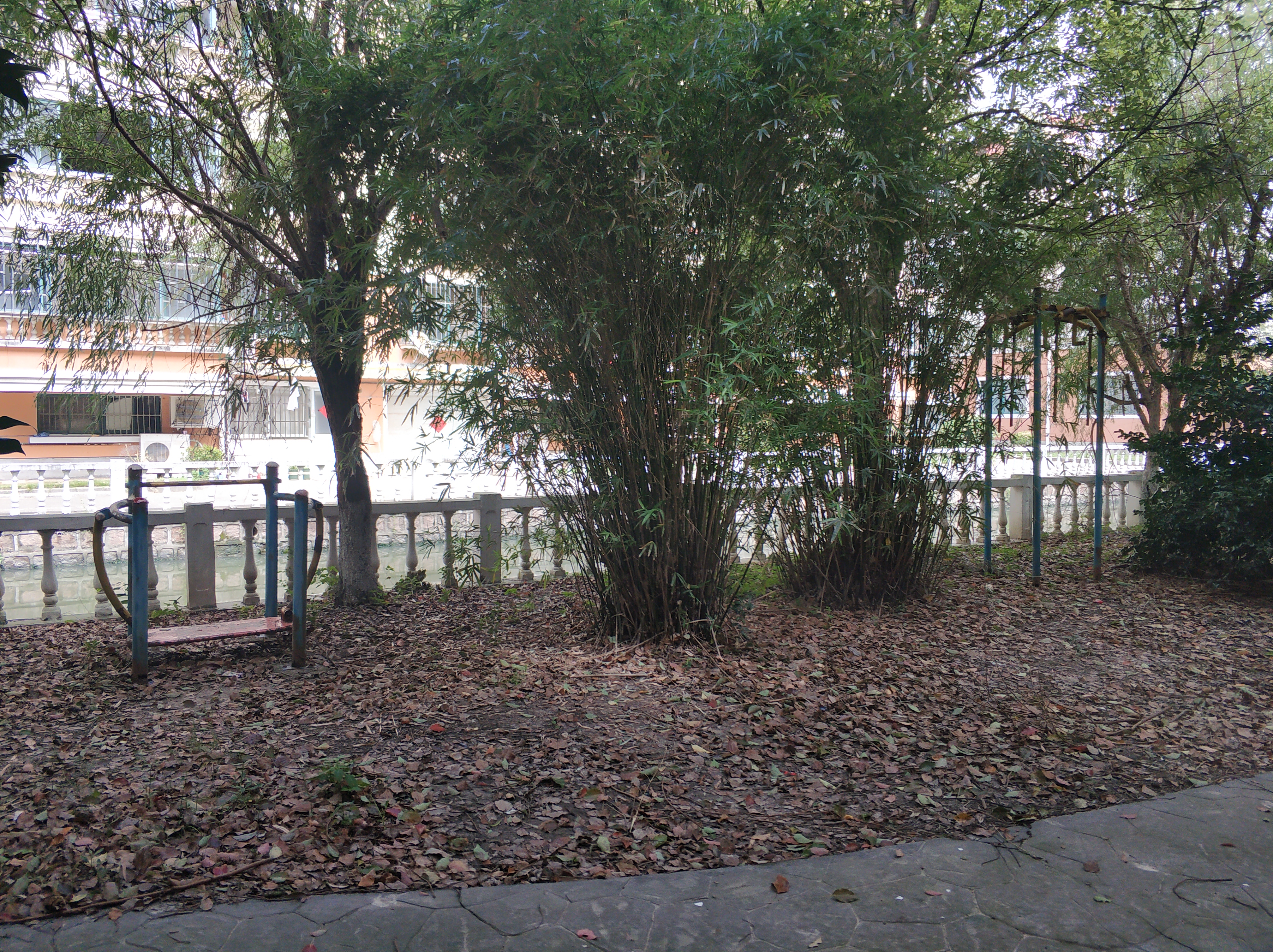 世紀四村健身點-1