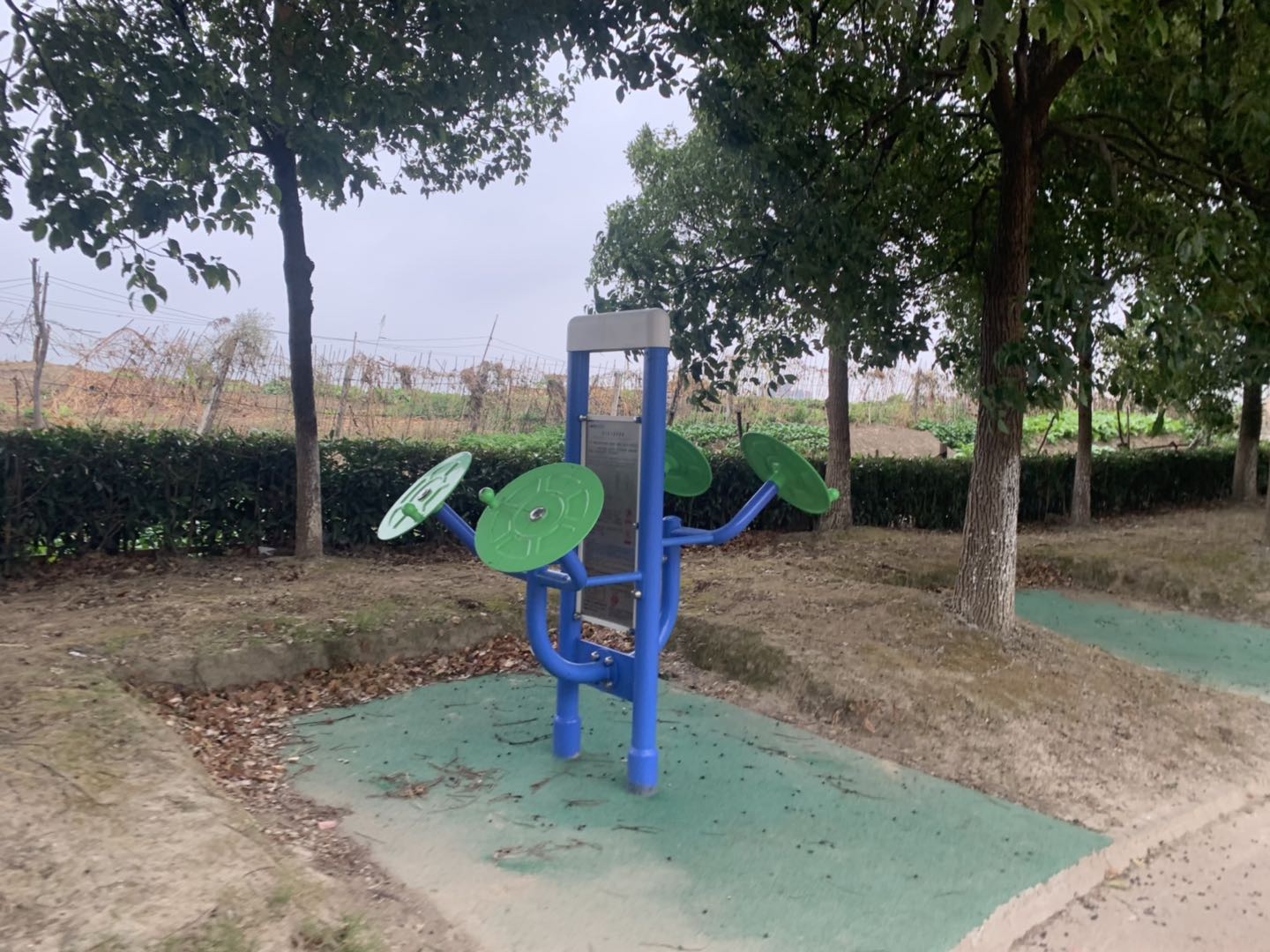 雙立柱太極揉推器