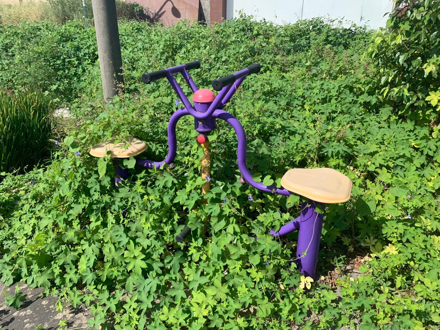 下肢康復(fù)器