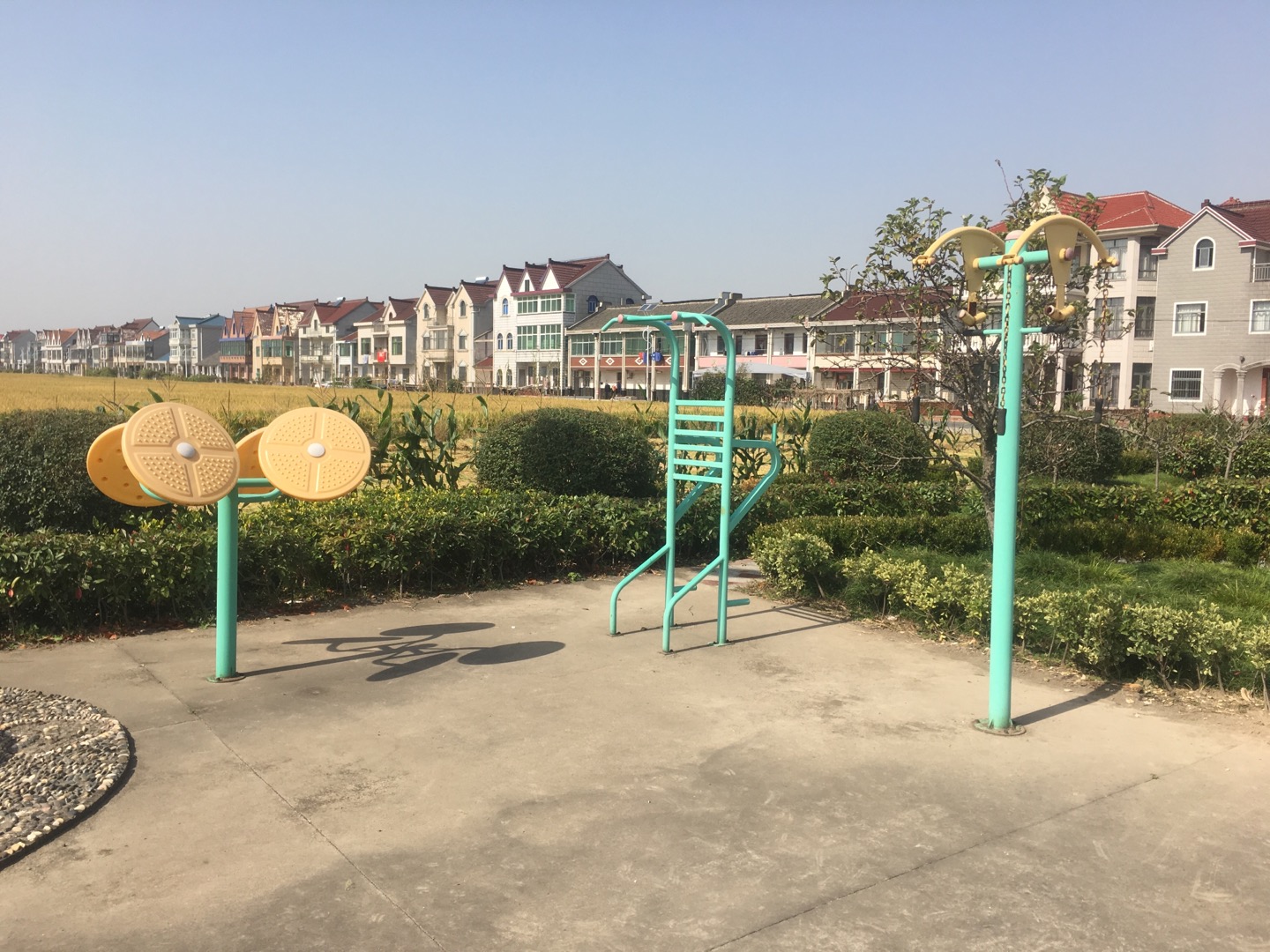 老港鎮(zhèn)牛肚村民委員會1組健身苑點