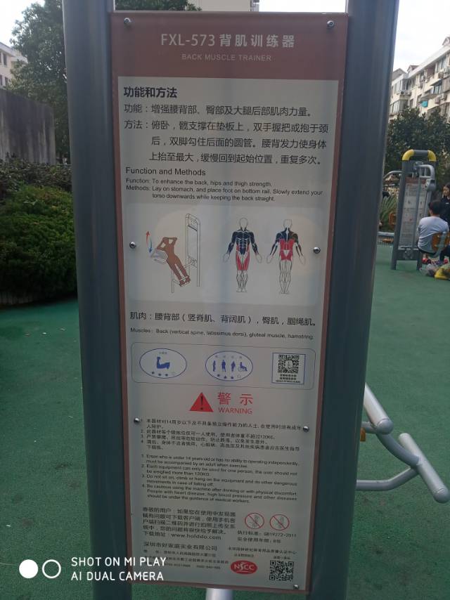 背肌訓(xùn)練器