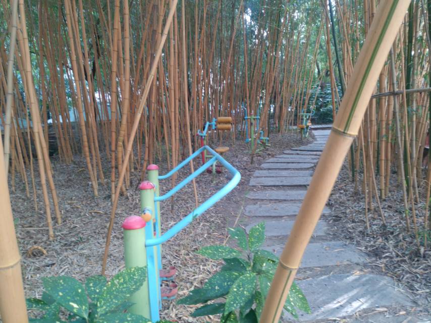 川新52支弄10號小花園