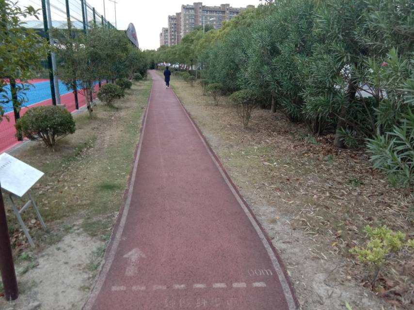 濱河公園健身步道