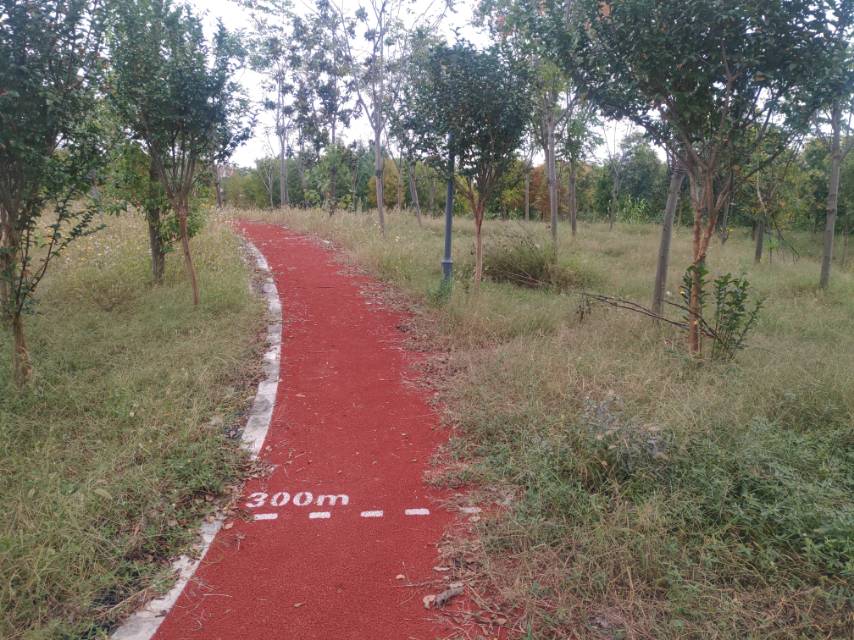 大東村市民健身步道