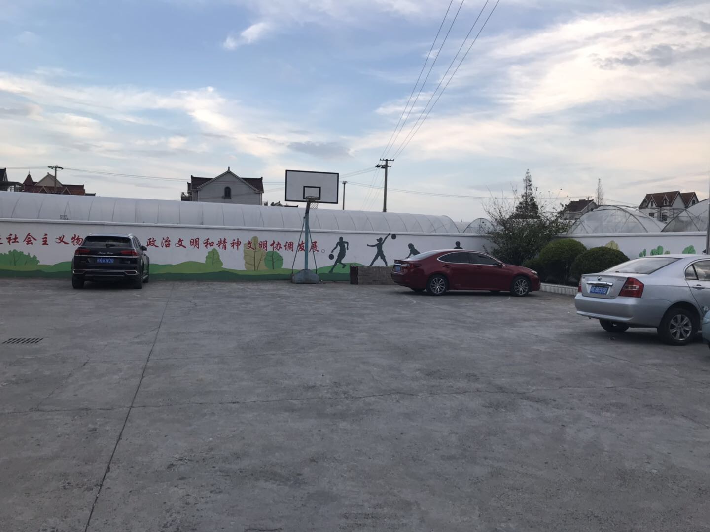 龍樹(shù)村籃球場(chǎng)