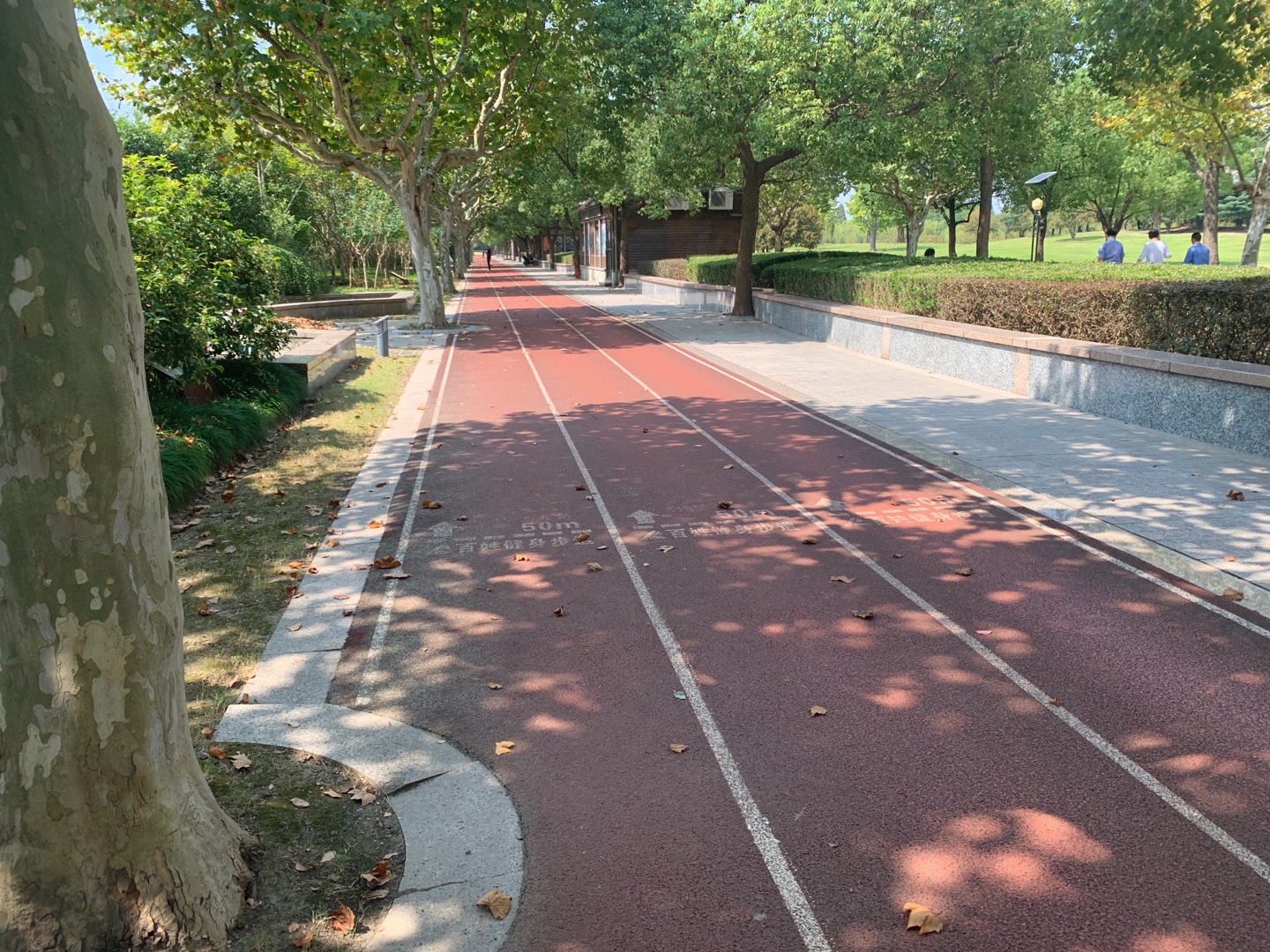 中央公園綠地百姓健身步道