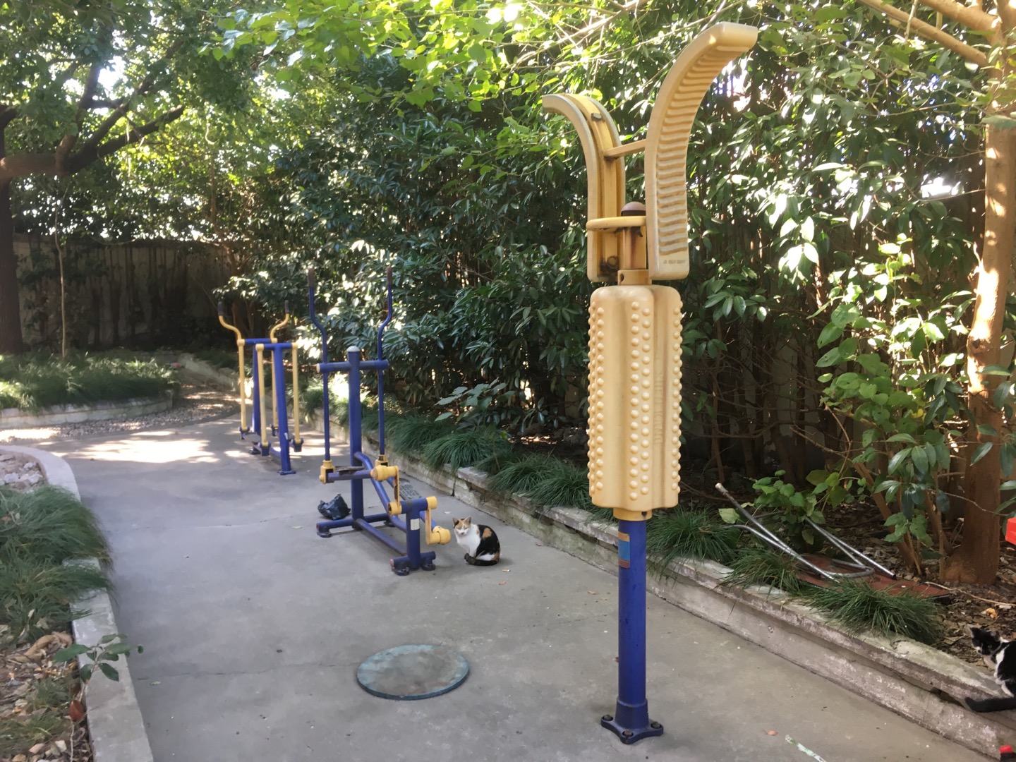 益華居委健身點(diǎn)1