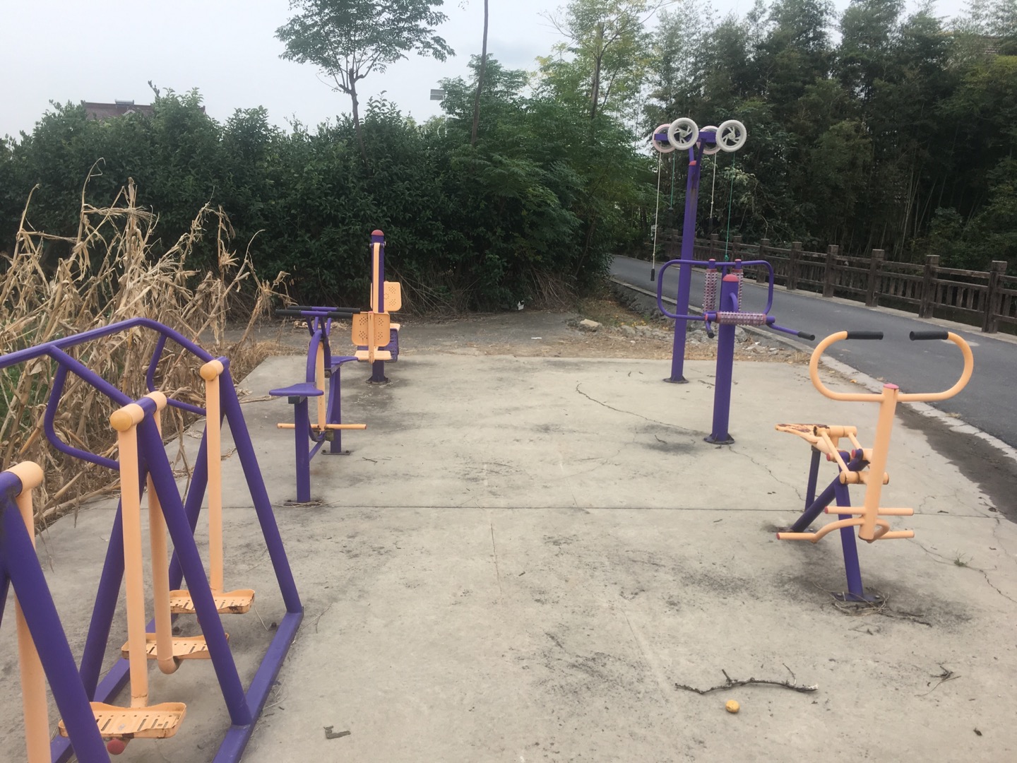 老港鎮(zhèn)欣河村民委員會煙墩8組3號健身苑點