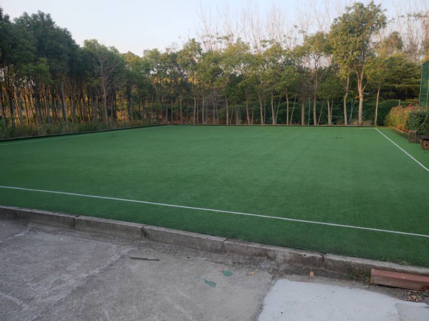 書院鎮(zhèn)棉場村門球場