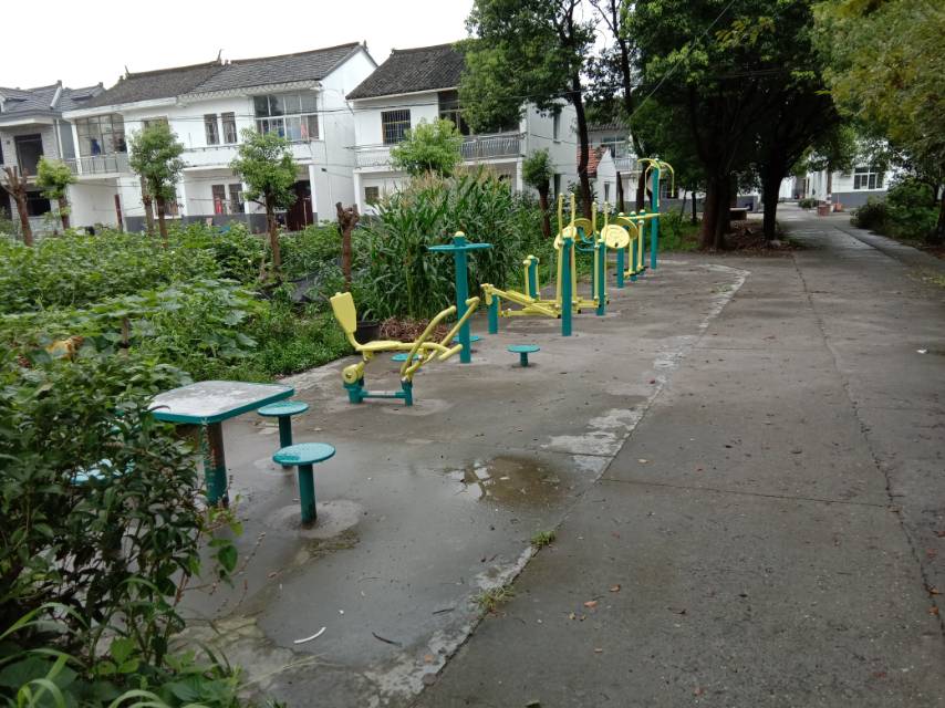 大新村（蔡家浜）健身點