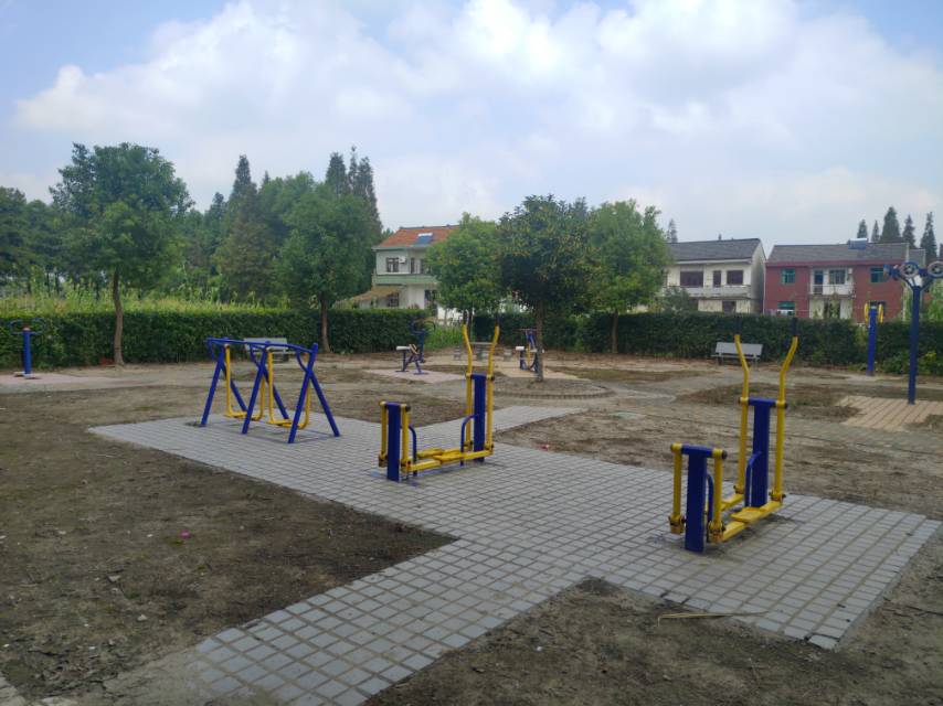 泖新村古松11隊(duì)