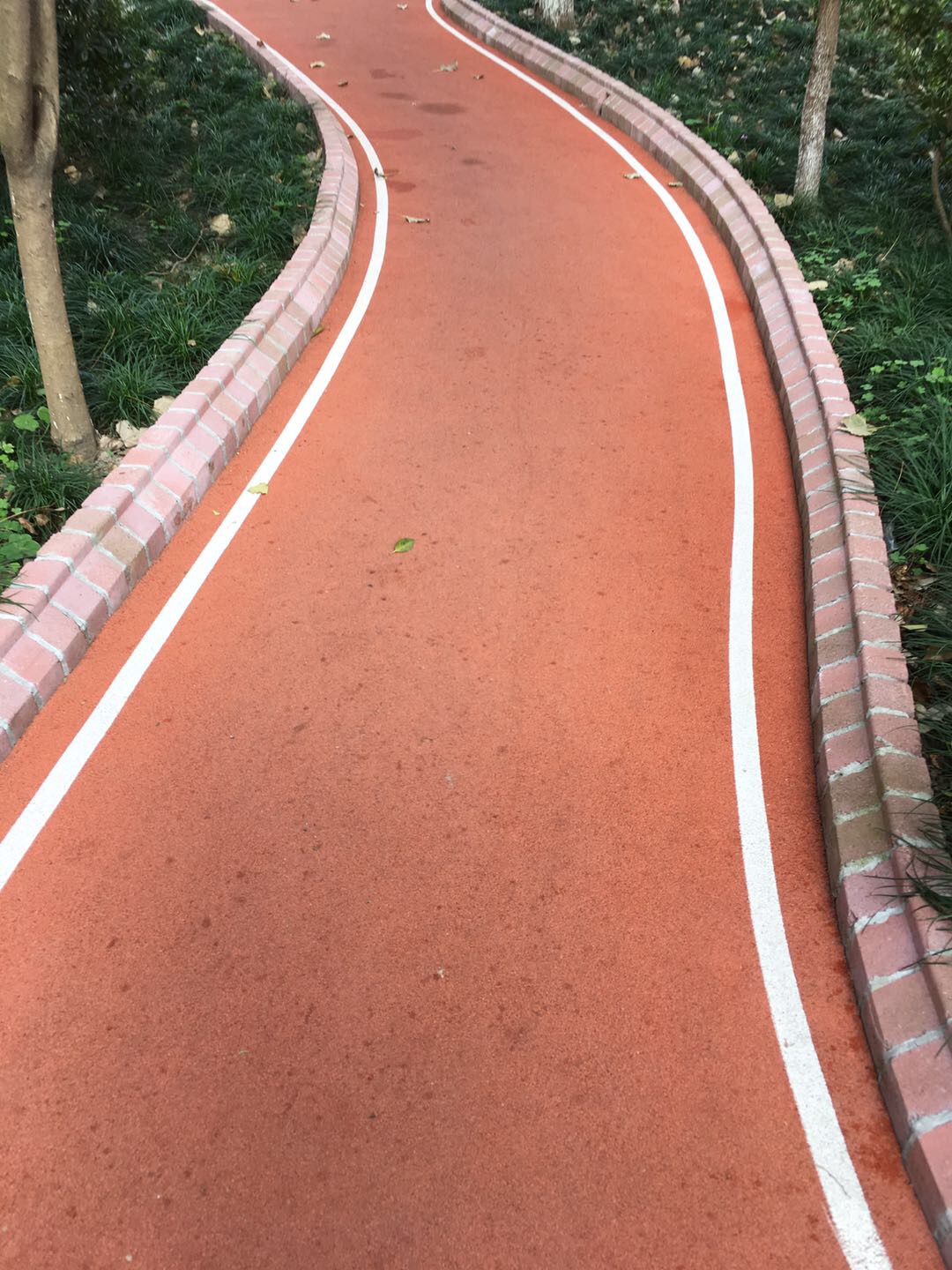 中遠兩灣城市民健身步道