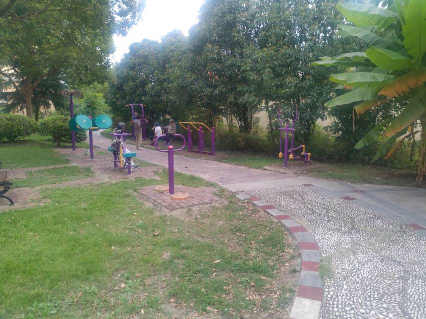 白洋小花園健身點