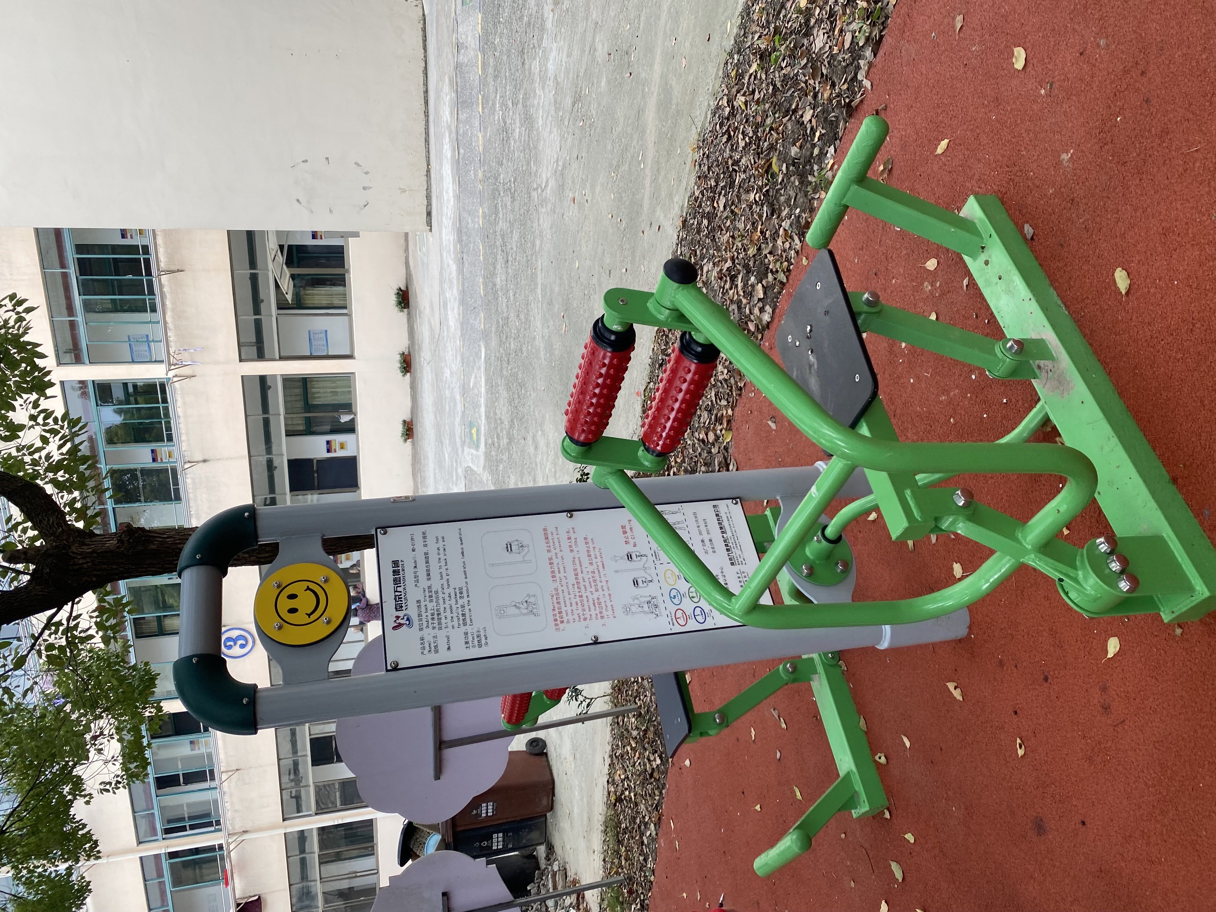 雙位背部訓練器