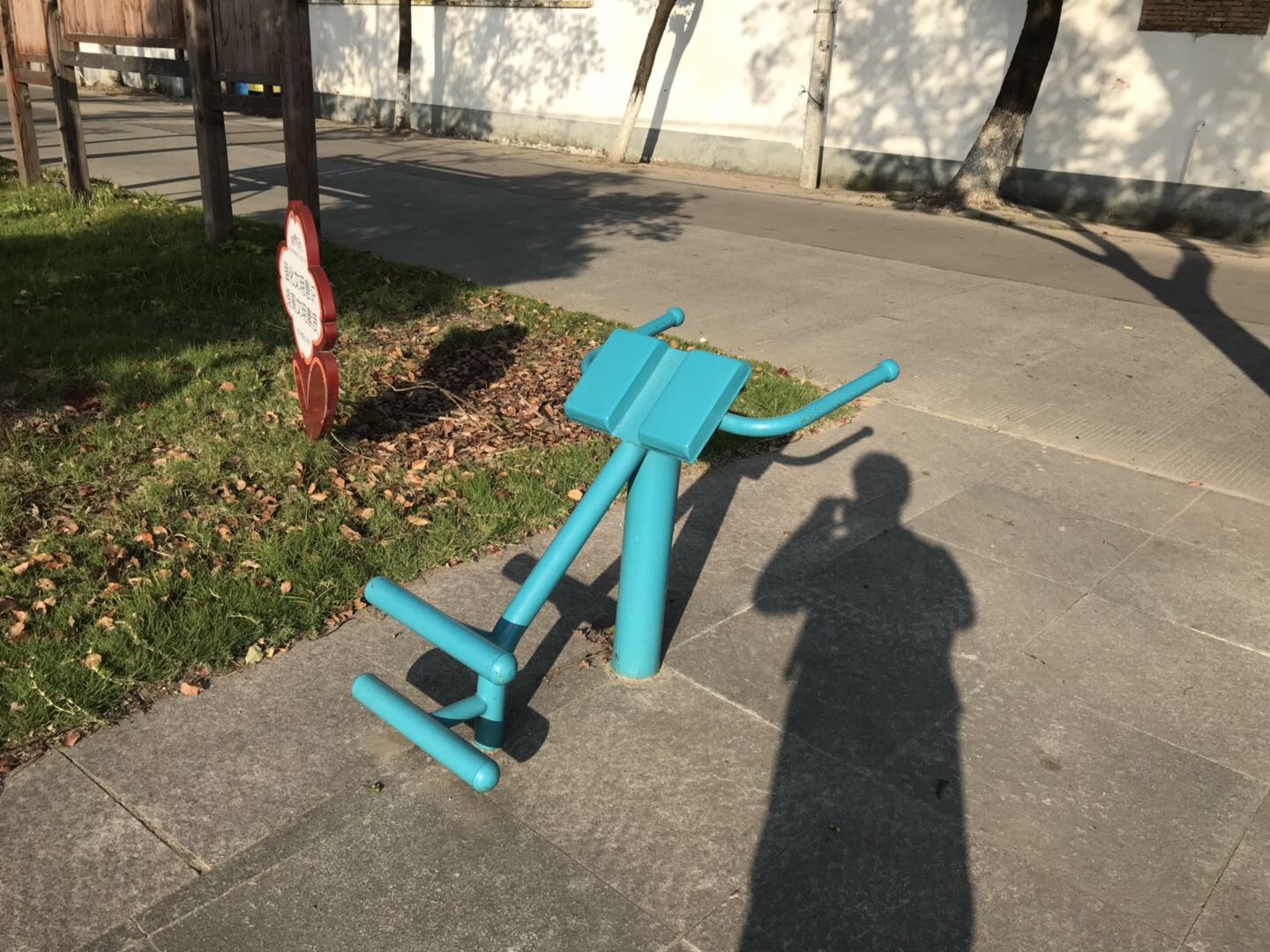 背肌訓(xùn)練器