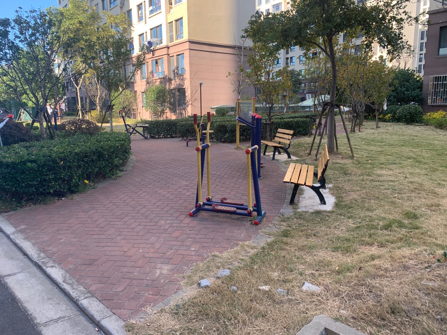 浦東新區(qū)高東鎮(zhèn)欣連苑居委會健身苑點5