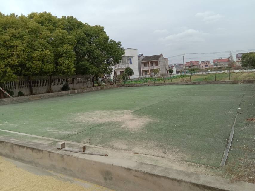 先進(jìn)村宛虹路320號門球場